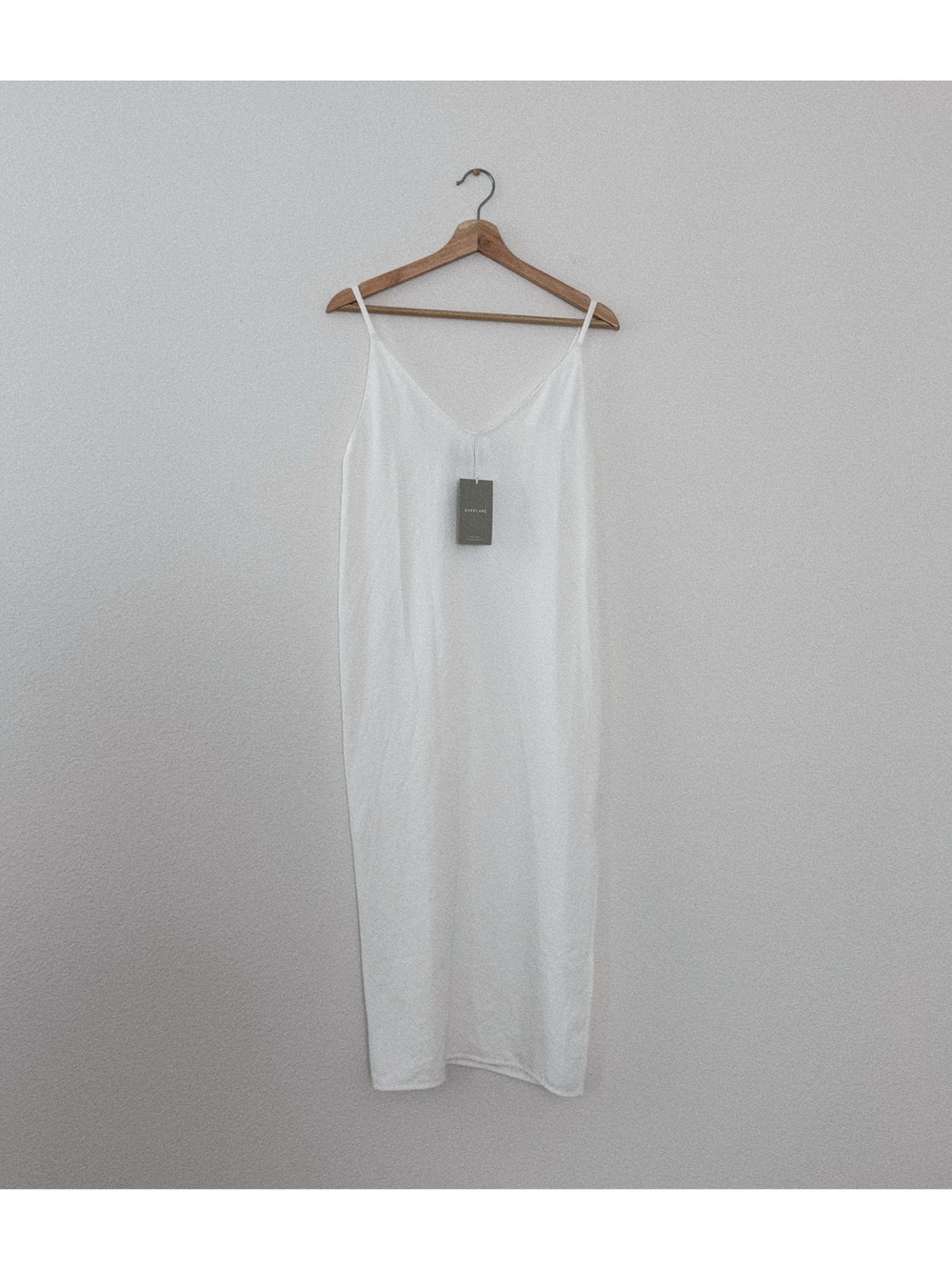 NWT everlane the japanese go weave slip dress